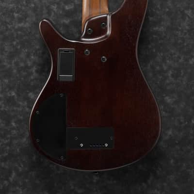 Ibanez SR Bass Workshop 5 String Electric Bass - Hollow Body Fretless - Fretless - Natural Browned Burst Flat (SRH505FNNF) image 3