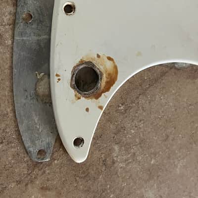 1961 1962 Fender Duo Sonic guitar pickguard white w/shield image 2