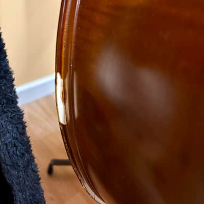 Christopher DB204T 3/4 Size Upright Double Bass image 6
