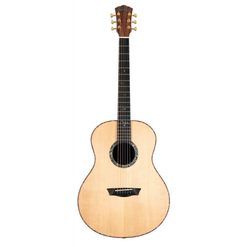 Washburn Bella Tono Elegante S24S image 1