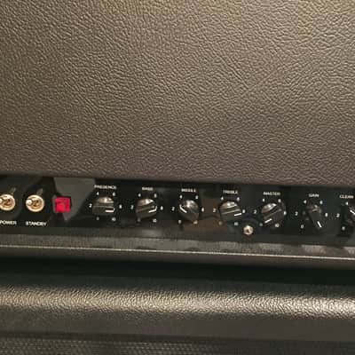 Friedman Naked 100 Watt Head w/ Saturation Switch image 5