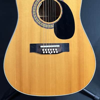 Alvarez Model 5021 12-String Dreadnought Acoustic Guitar Gloss Natural w/ Case image 1
