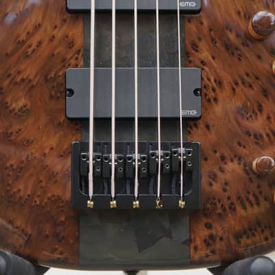 Modulus Graphite Q5 TBX 2022 - Black redwood burl image 2