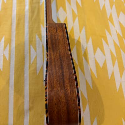 Kala SMHC W/Case - Concert, Solid Mahogany, Satin Finish image 5