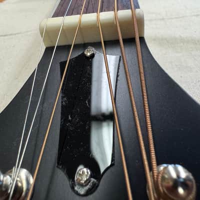 Recording King RPS-9P-TS Modified for Lap-Steel slide with pickup image 8