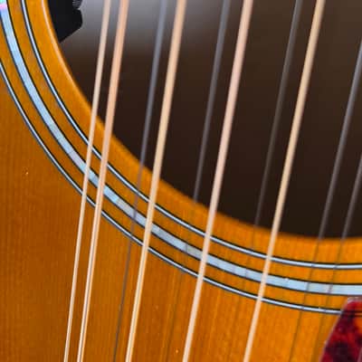 Guild Westerly Collection F-2512E Deluxe 2020 - Present - Antique Sunburst image 9