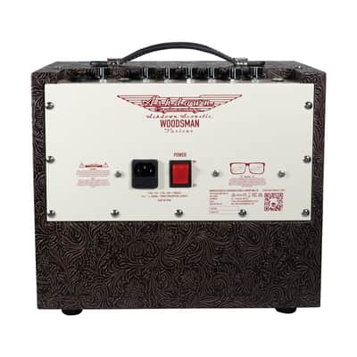 Ashdown Woodsman Parlour | 25W 1x8 Acoustic Guitar Combo. New with Full Warranty! image 4