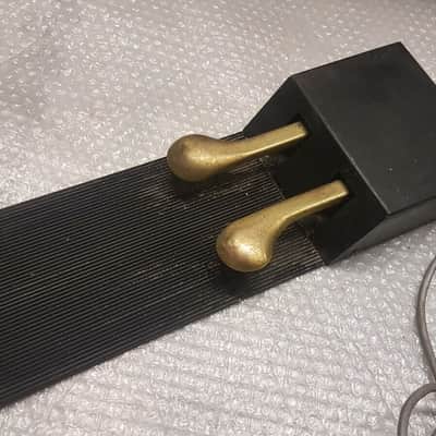 Rhodes Chroma Dual Foot Pedal