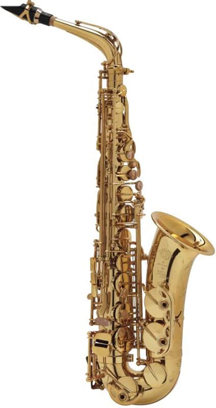 Selmer Super Action 80 Series II Alto Sax - gold lacquer engraved image 1