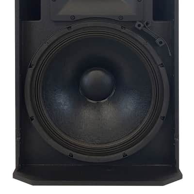 Singtronic Professional 6000W Vocal Karaoke 15" Speakers (Pair) image 4