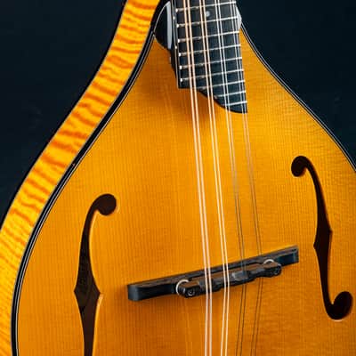 Collings MT2 Honey Amber Adirondack Spruce and Flamed Maple Mandolin NEW image 6