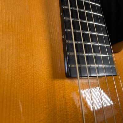 Benedetto Knotty Pine Special 17" Archtop - One of a Kind Collector's Instrument image 7