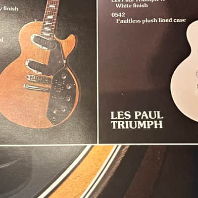 Gibson Damaged Dealer catalog colored cover version 1975 image 12