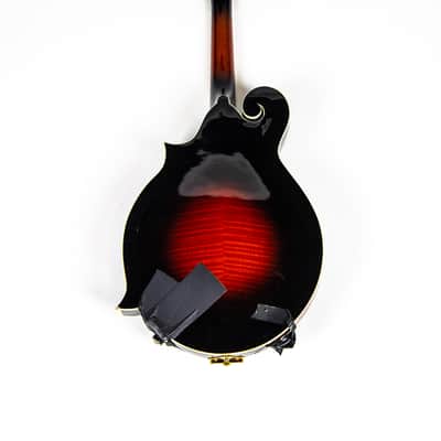 Michael Kelly F Style Mandolin Owned by Matt Freeman Of Rancid image 4
