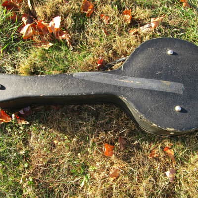 Tenor Banjo, 1920's, 17 Fret, Tone Ring, HSC image 10