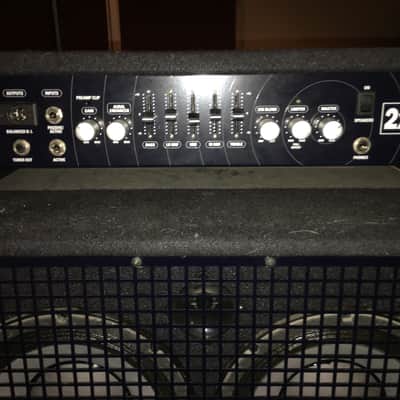 SWR Workingman's 210C 2x10 Bass Combo 400 watt image 2