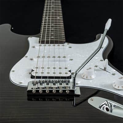 Washburn Sonamaster Deluxe Trans Black H/S/S image 4