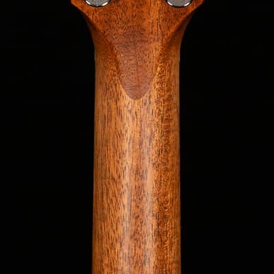 Taylor 314ce Studio Special Edition Sapele/Sitka Shaded Edge Burst (049) image 6