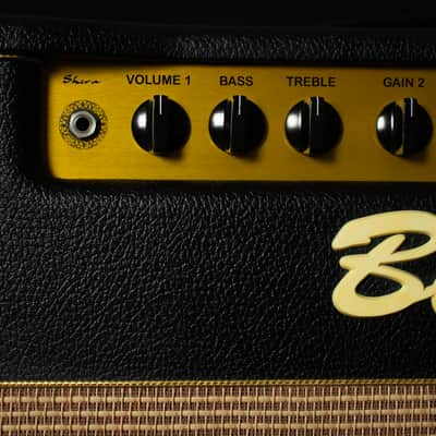 Bogner Shiva EL34 2-Channel 80-Watt 1x12" Guitar Combo with Reverb 2005 - Black with Green Back Panel image 6
