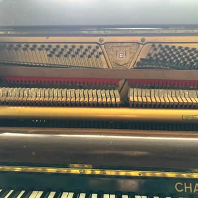 Challen Mandolin Rain Piano 1940's - Mahogany image 6