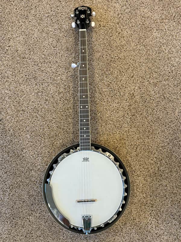 Washburn B9 Americana Series 5-String Banjo 2010s - Natural ***Includes hard case*** image 1