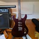 Danelectro 12-string Hodad End of 1990s