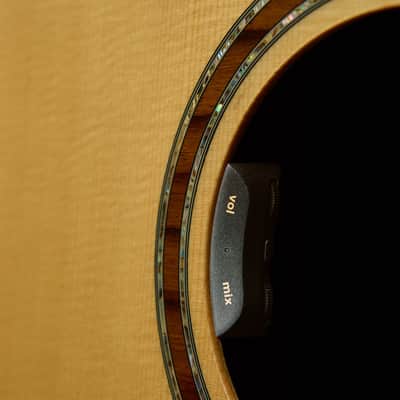 LR Baggs HiFi Duet Hybrid Tonabnehmer image 5