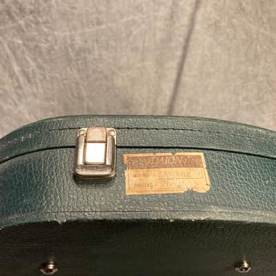 Daion Savage guitar hardcase 80’s - Green image 7