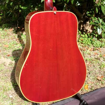 Early 1970’s Canda 212 Hummingbird Model MIJ by Fujigen Gakki image 6