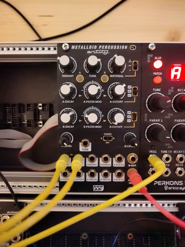 Steady State Fate Metalloid percussion