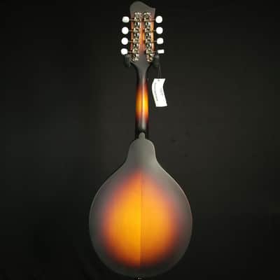 Eastman MD304E Electric A Style Oval Hole Electric K&K Mandolin with Bag image 5