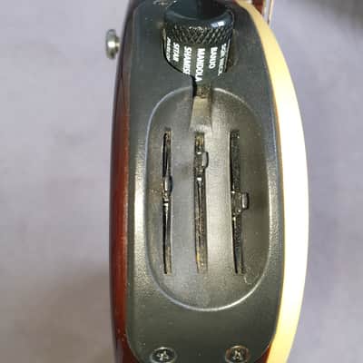 Line 6 Variax 700 acoustic early 2000s? Cedar image 6