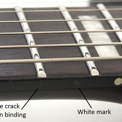 Schecter PT EX Baritone Guitar Dorian Gray B-Stock 0694 image 10
