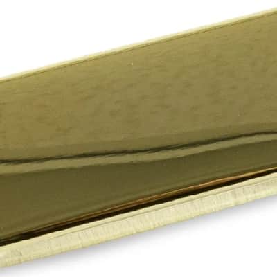 RS Guitarworks Dirty Bird Firebird Pickup Neck Gold