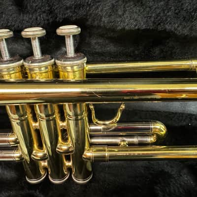 Accent Trumpet 2016 - Lacquer image 5
