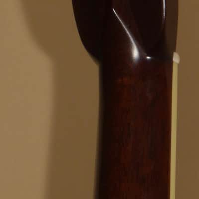 2018 Bourgeois D- Large Soundhole Brazilian Rosewood image 6