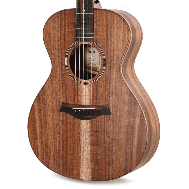 Taylor JCSM-5 Jacob Collier Signature image 3