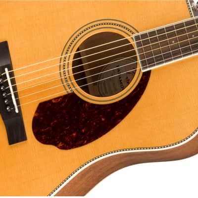 Fender PM-1 Standard with Walnut Fretboard 2018 - Natural image 4