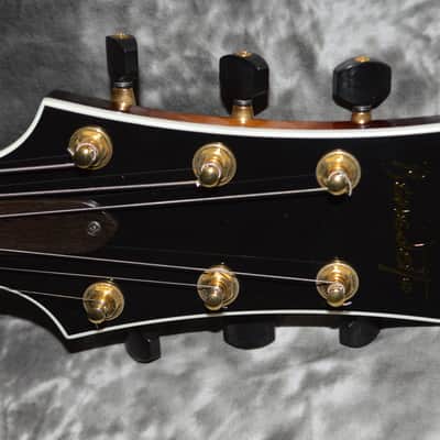 Benedetto Bravo 2009 Sunburst image 5