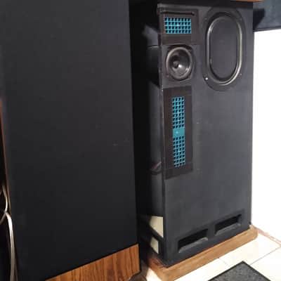 ESS Transtatic 1 Tower Speakers. Rare Electrostats. Fully Functional. Original. image 1
