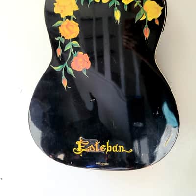 Rare Esteban Spanish Rosas Classical Guitar Character Flowers image 15