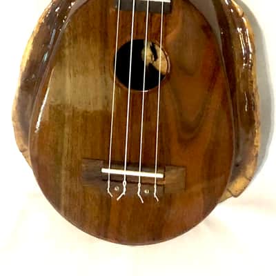 Turtle Shell Tenor Ukulele image 13