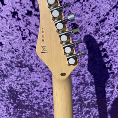Fretlight FG-5 Beginner Electric Guitar with Built-In Lighted Learning System image 5