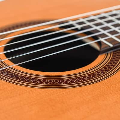 Cordoba C7 B Stock image 11