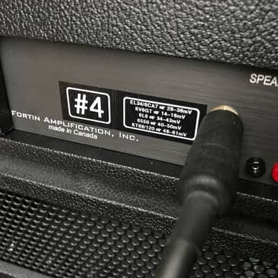 Fortin Meshuggah Amp #4 image 3