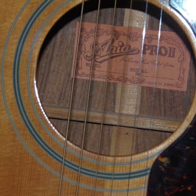 VERY RARE! 1976 Aria Pro II (Guild D50 copy)W/Pick-up*Solid Spruce top-Rosewood B&S*Matsumoku-Japan* image 7