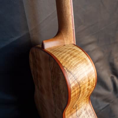 Cordoba 24T cedar top spalted maple tenor ukulele image 3