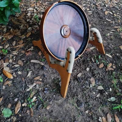 Vega Senator 1920s  - Conversion to 5 string image 14