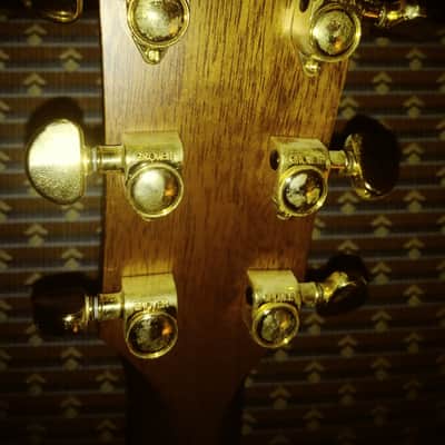Taylor 510 LTD 2002 image 10