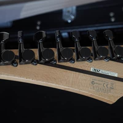Ibanez RGD2127Z-ISH Prestige 2010 - 2017 - Invisible Shadow image 16
